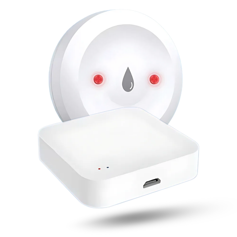 Capteur de fuite d'eau sans fil -1 Capteur de fuite d'eau avec Hub Wi-fi - Ozerty
