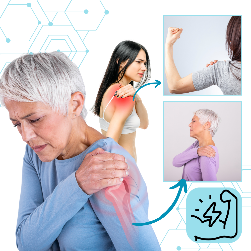 Epaulière réglable - Ozerty