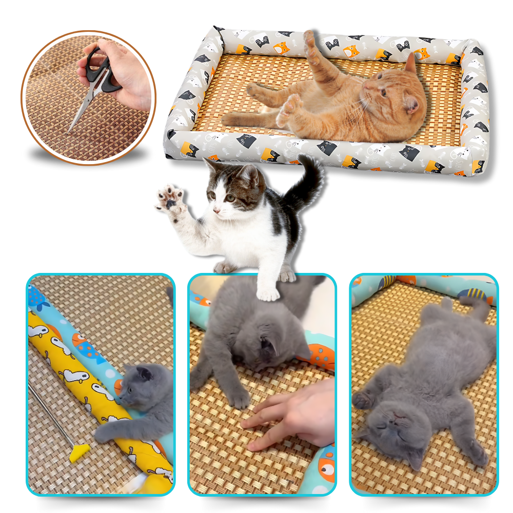 Tapis anti-dérapant et rafraîchissant pour animaux de compagnie
 - Ozerty