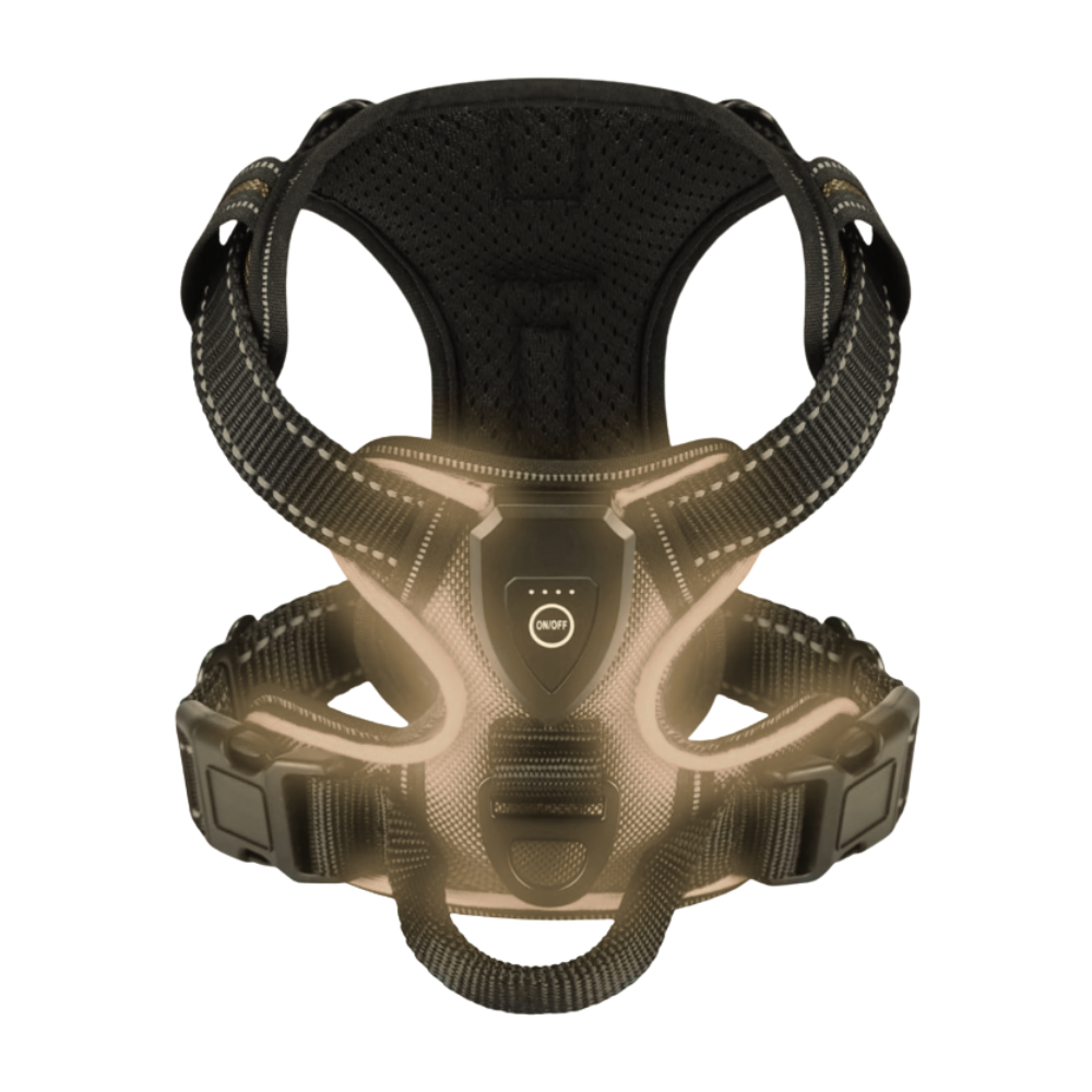 Harnais pour chien avec lumière LED clignotante -Noir - Ozerty