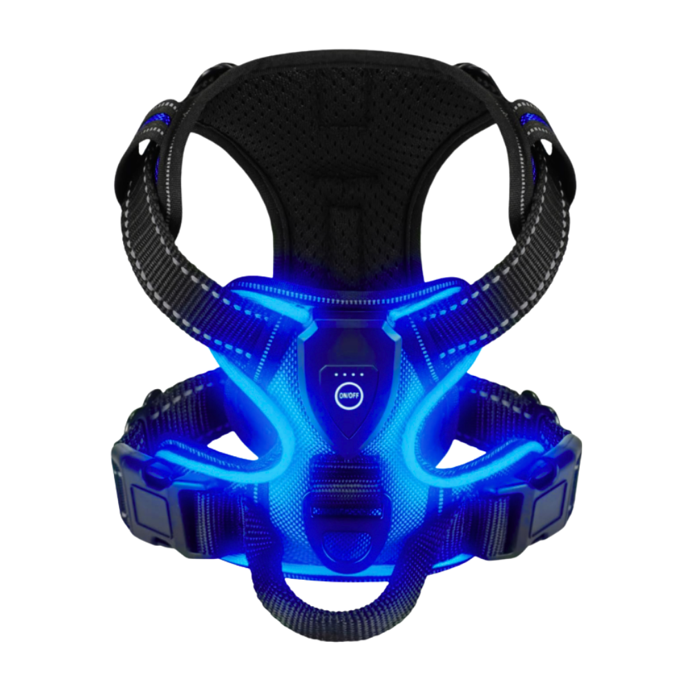 Harnais pour chien avec lumière LED clignotante -Bleu foncé - Ozerty