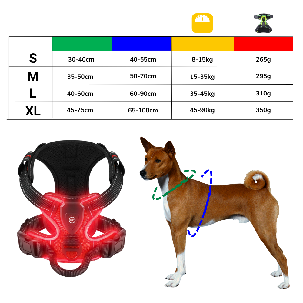 Harnais pour chien avec lumière LED clignotante - Ozerty