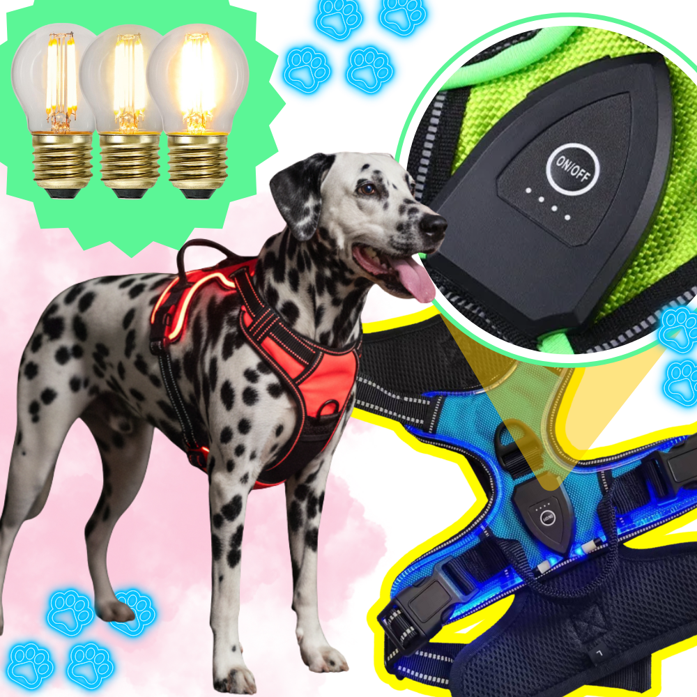 Harnais pour chien avec lumière LED clignotante - Ozerty