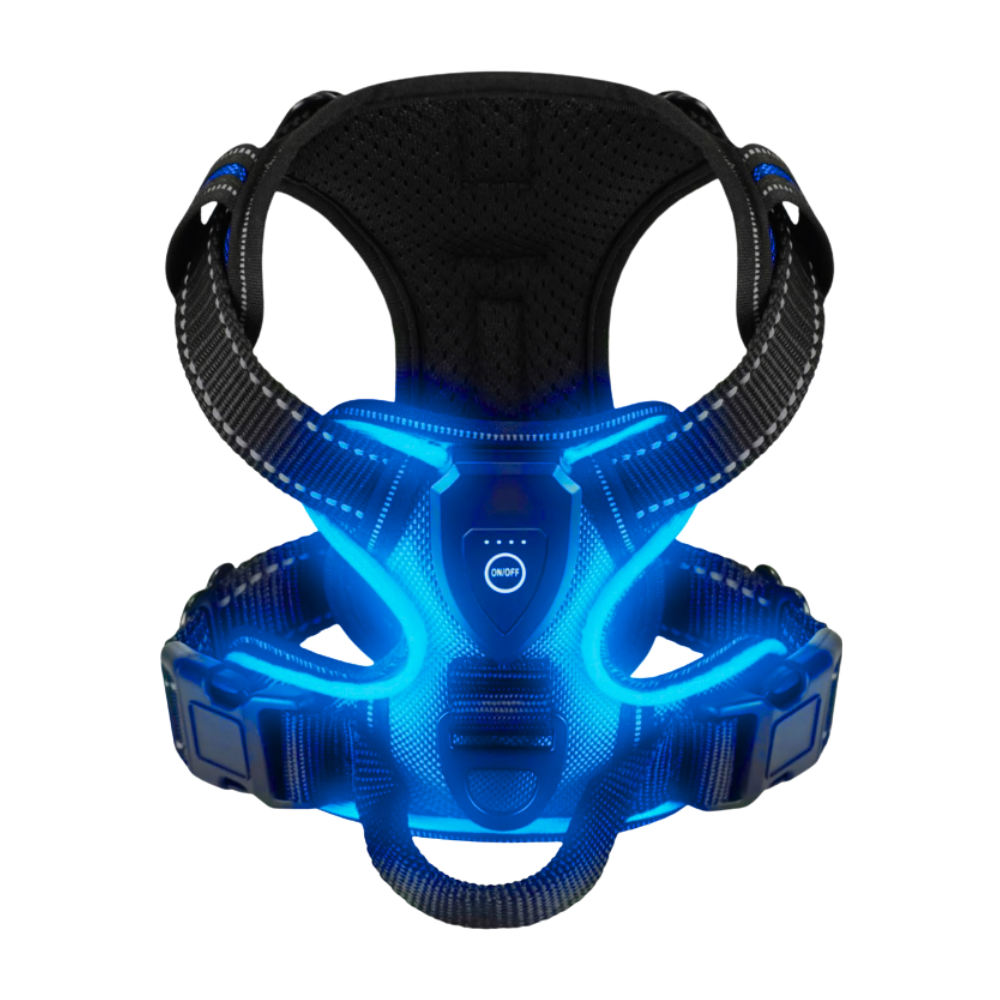 Harnais pour chien avec lumière LED clignotante -Bleu clair - Ozerty