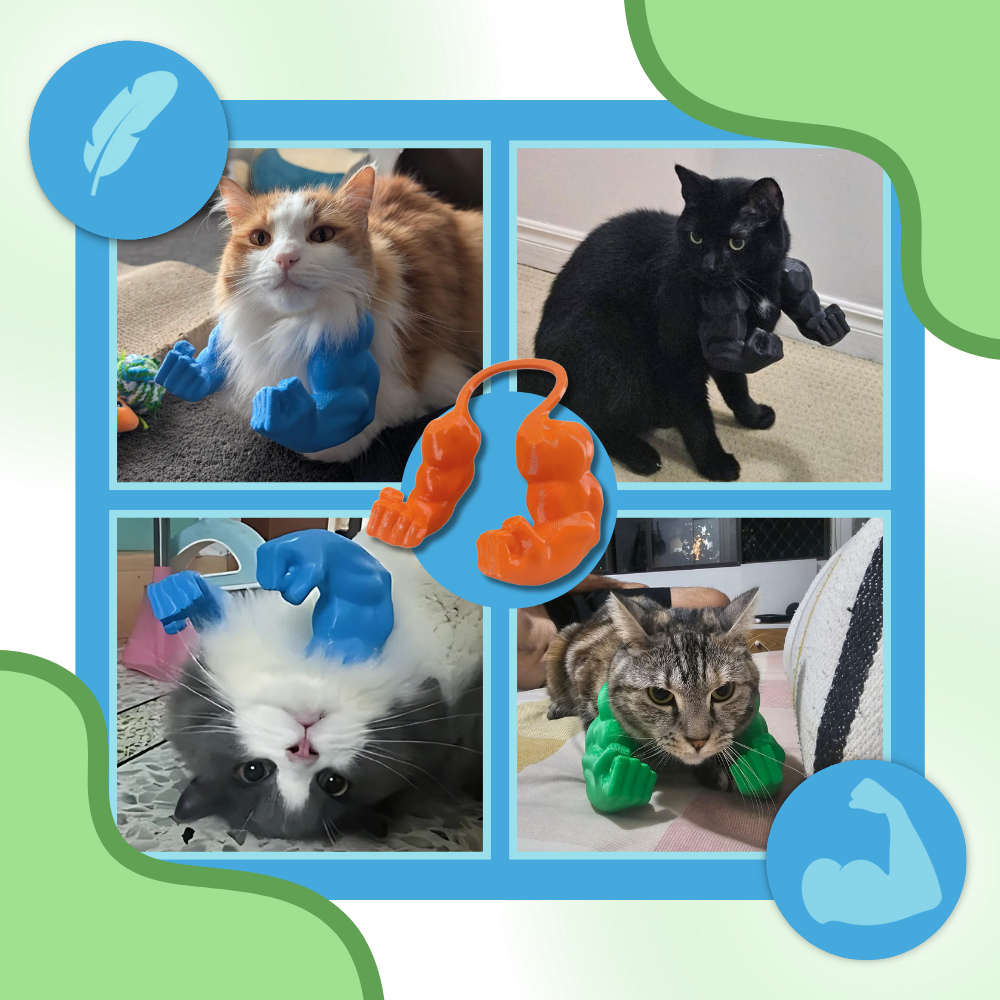 Costume pour chat bras de bodybuilder - Ozerty