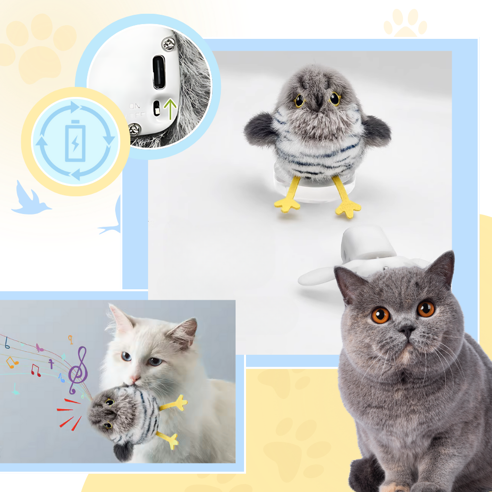 Jouet interactif oiseau pour chat - Ozerty