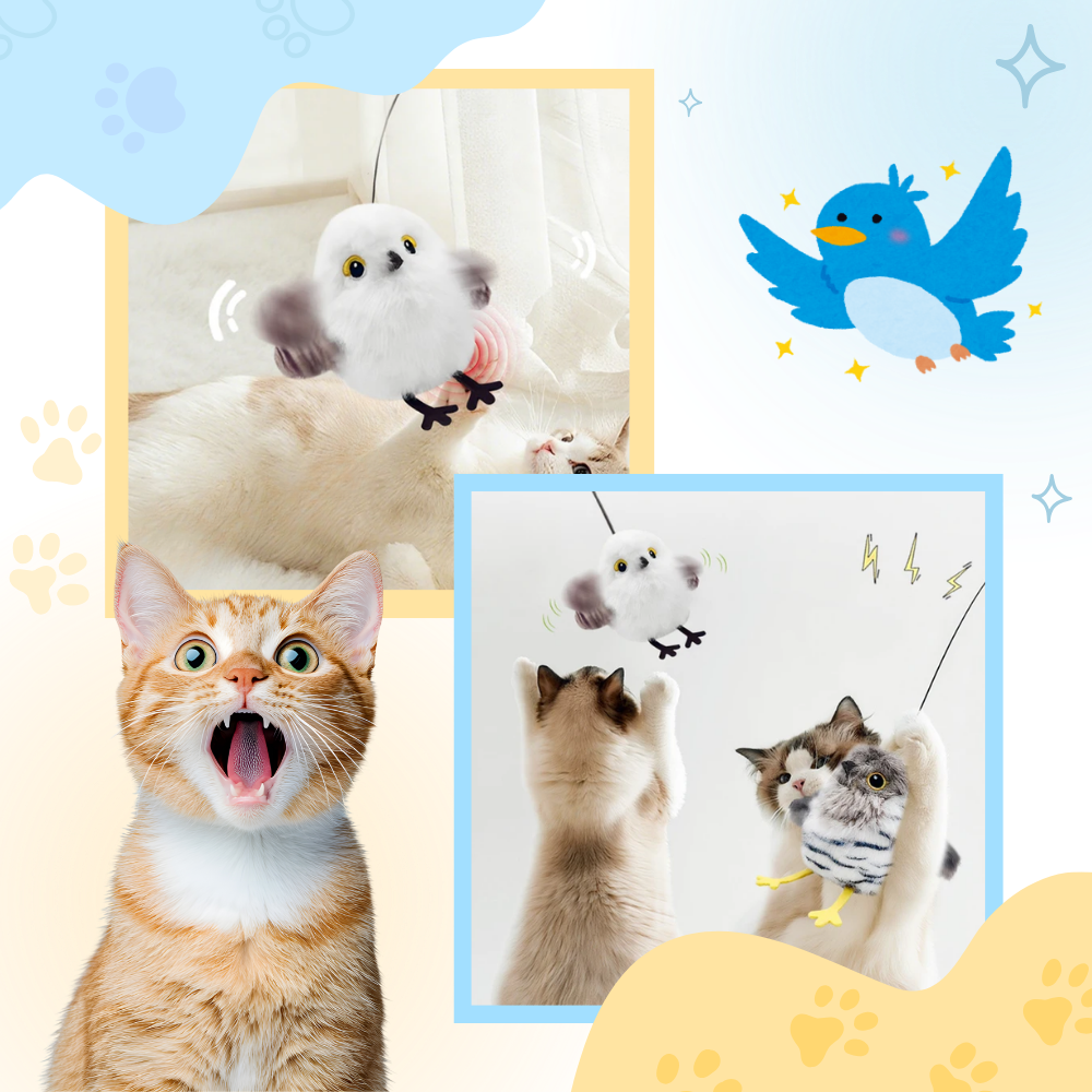Jouet interactif oiseau pour chat - Ozerty