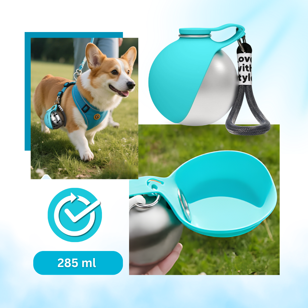Gourde pratique pour chien - Ozerty