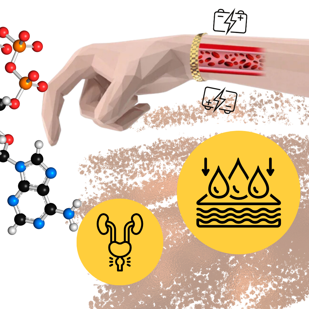 Bracelet de thérapie magnétique en cuivre - Ozerty