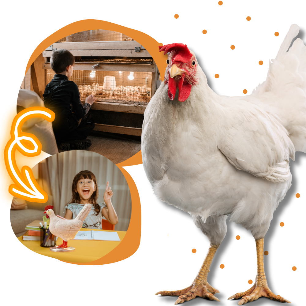 Lampe douce en forme de poule
- Ozerty