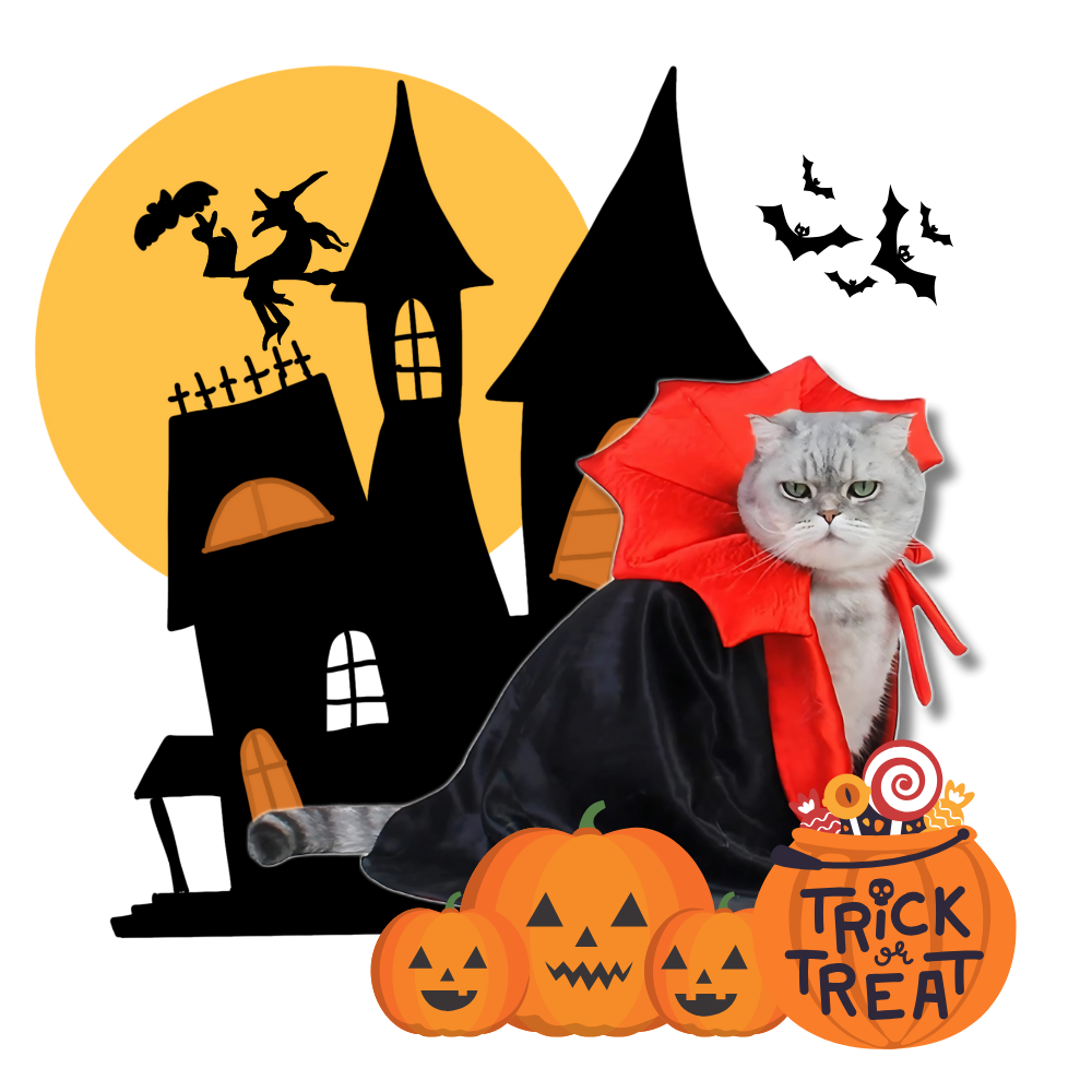 Costume d'Halloween Dracula pour animaux de compagnie - Ozerty