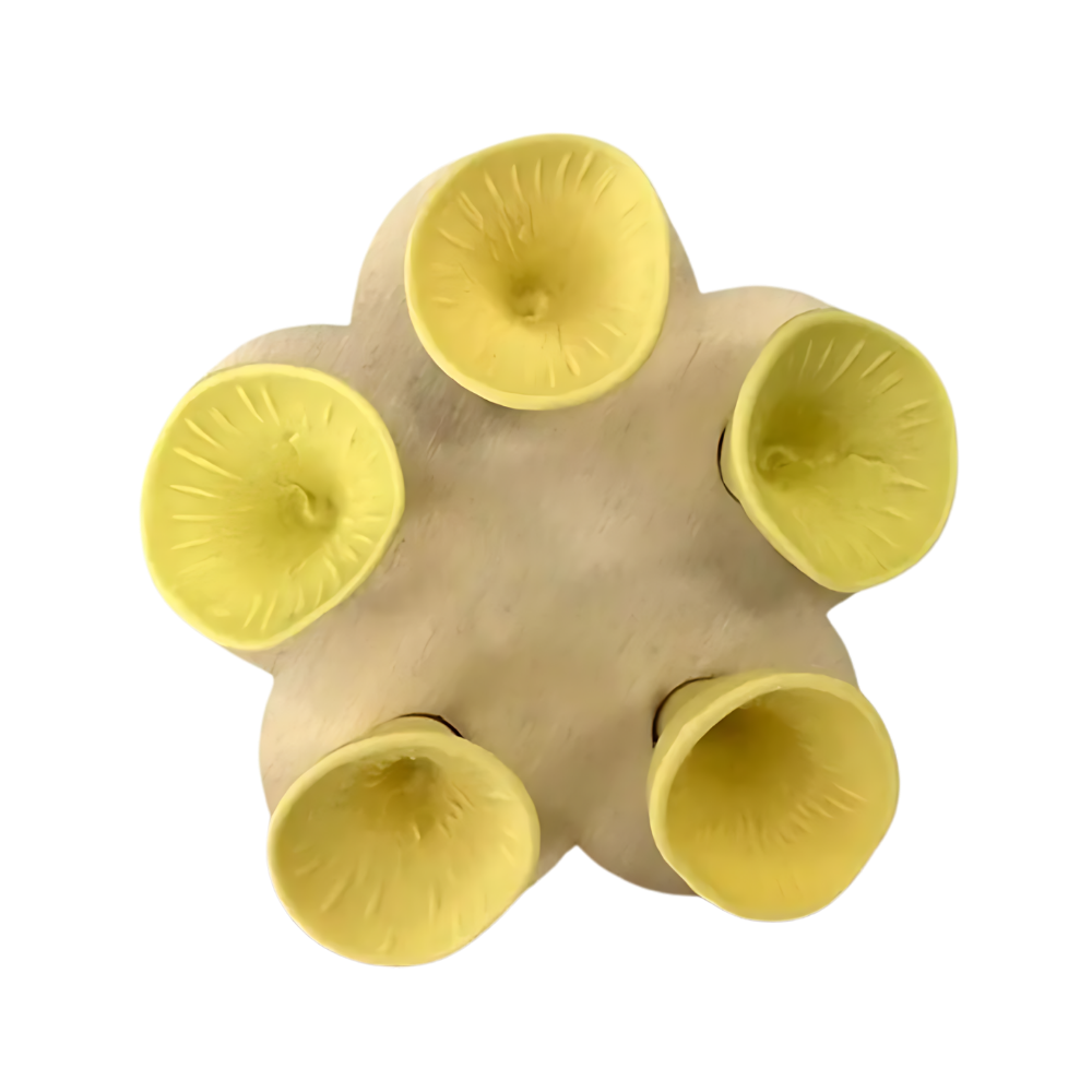 Abreuvoirs pour abeilles discrets et attrayants 
 -Jaune - Ozerty