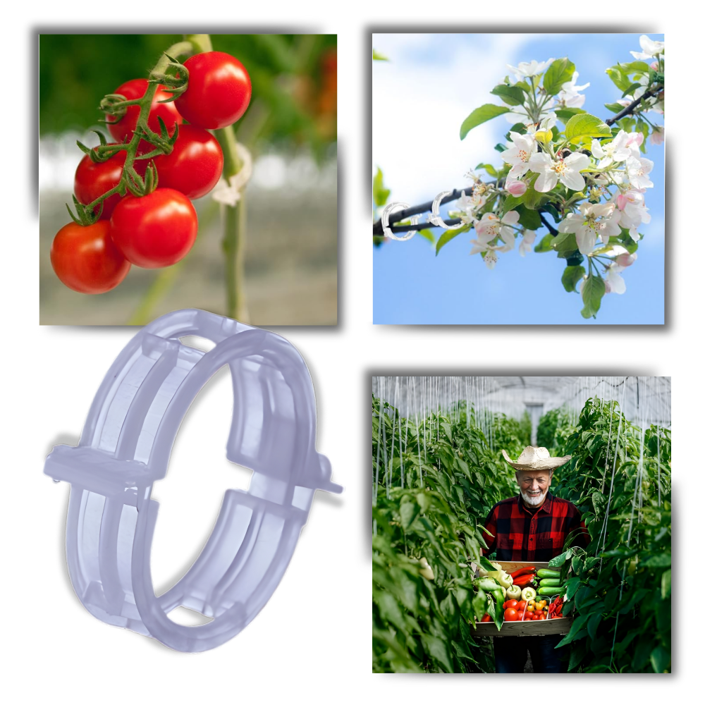 Support de plantes facile à clipser
 - Ozerty