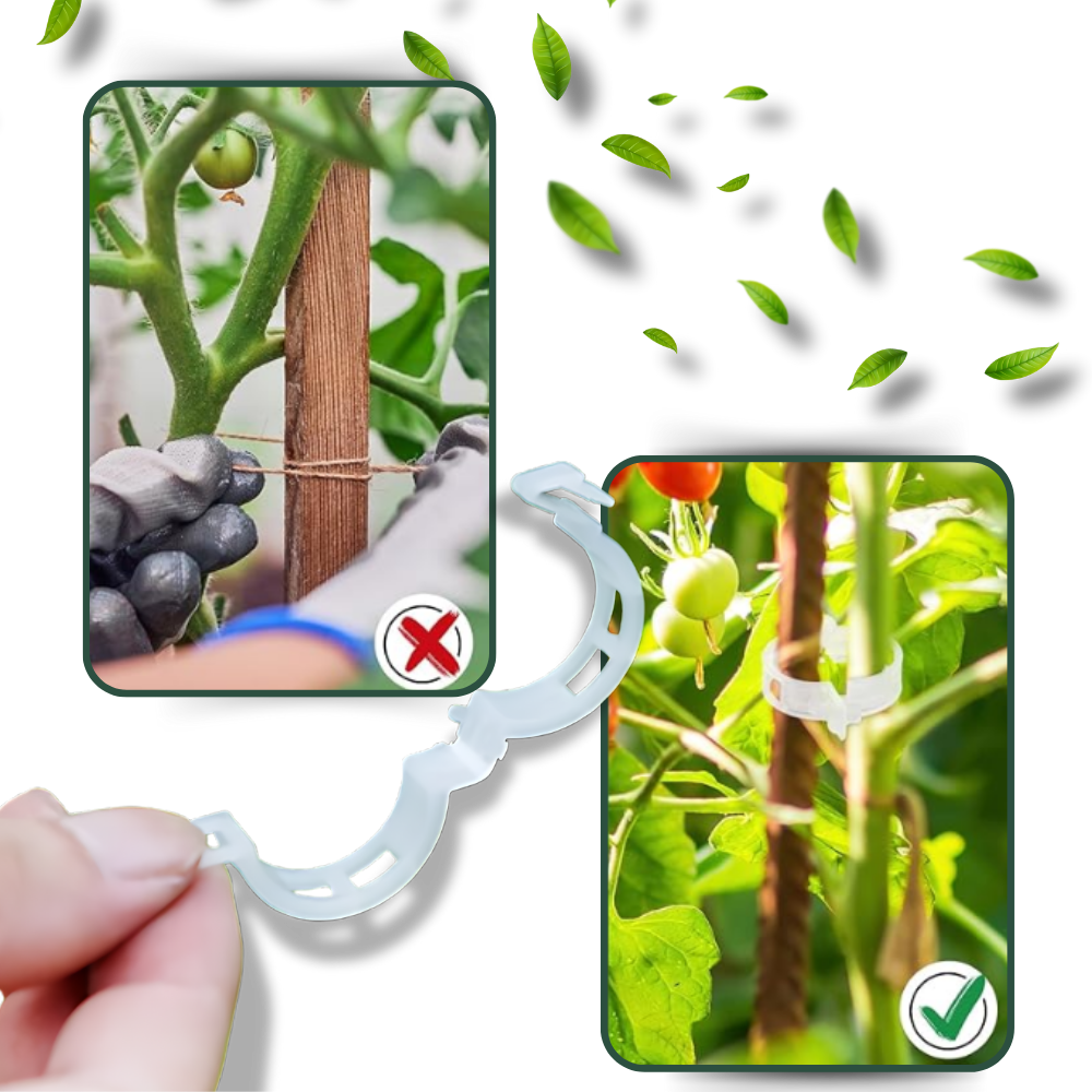 Support de plantes facile à clipser
- Ozerty