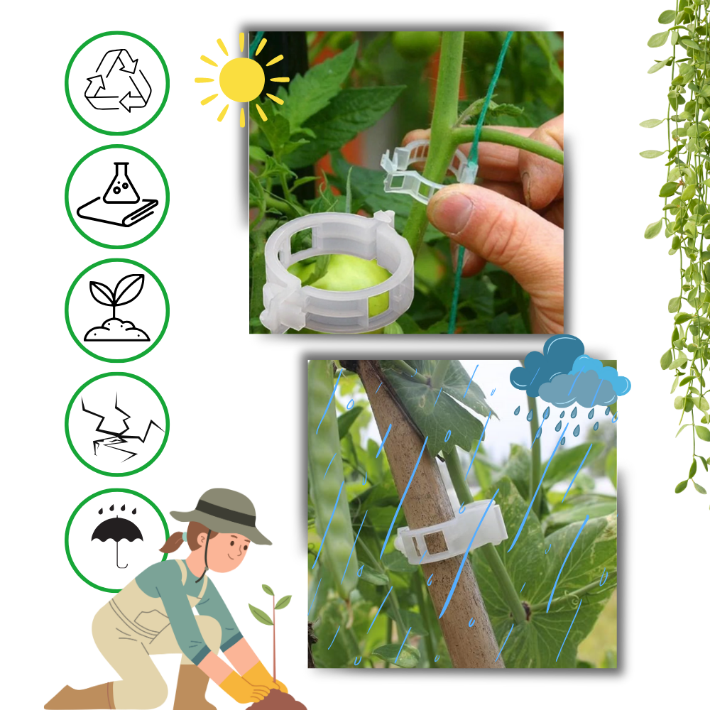 Support de plantes facile à clipser
- Ozerty