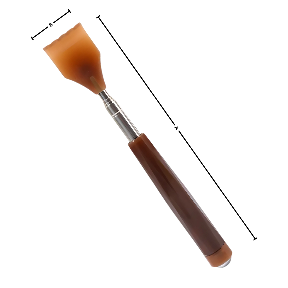 Gratte dos télescopique - Ozerty