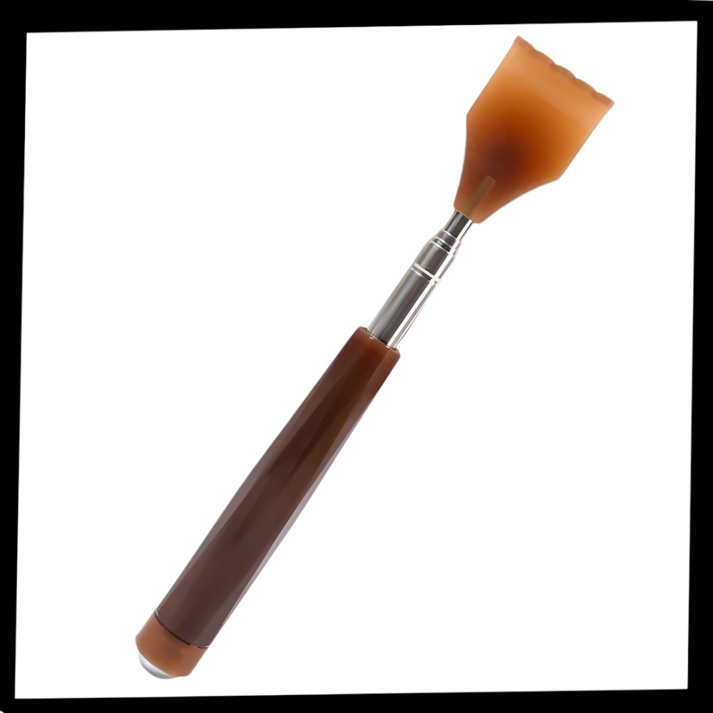 Gratte dos télescopique - Ozerty