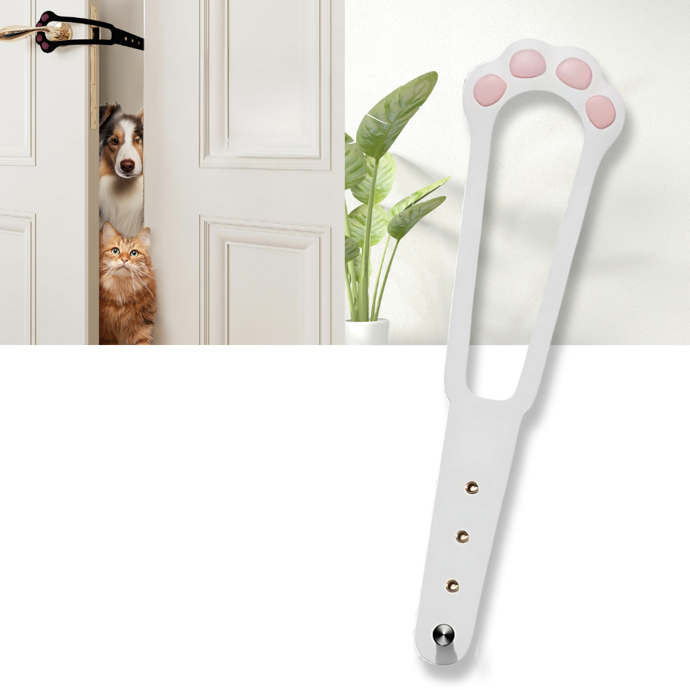 Loquet de porte innovant pour chats - Ozerty