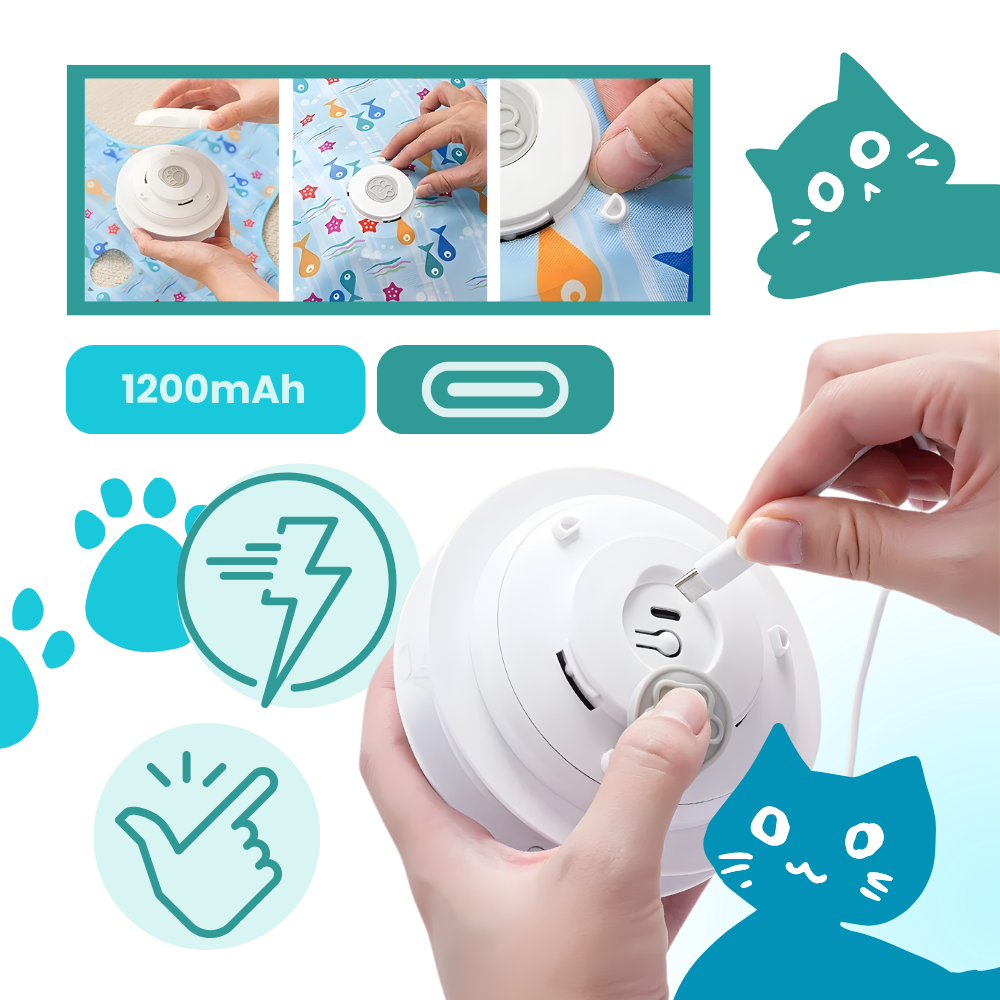 Jouet tapis interactif à plumes pour chatons en phase de dentition - Ozerty