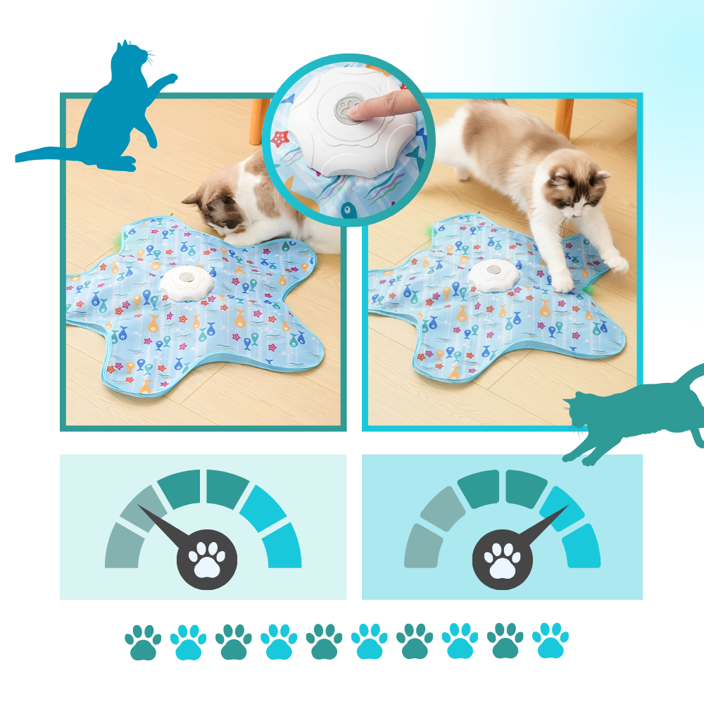 Jouet tapis interactif à plumes pour chatons en phase de dentition - Ozerty