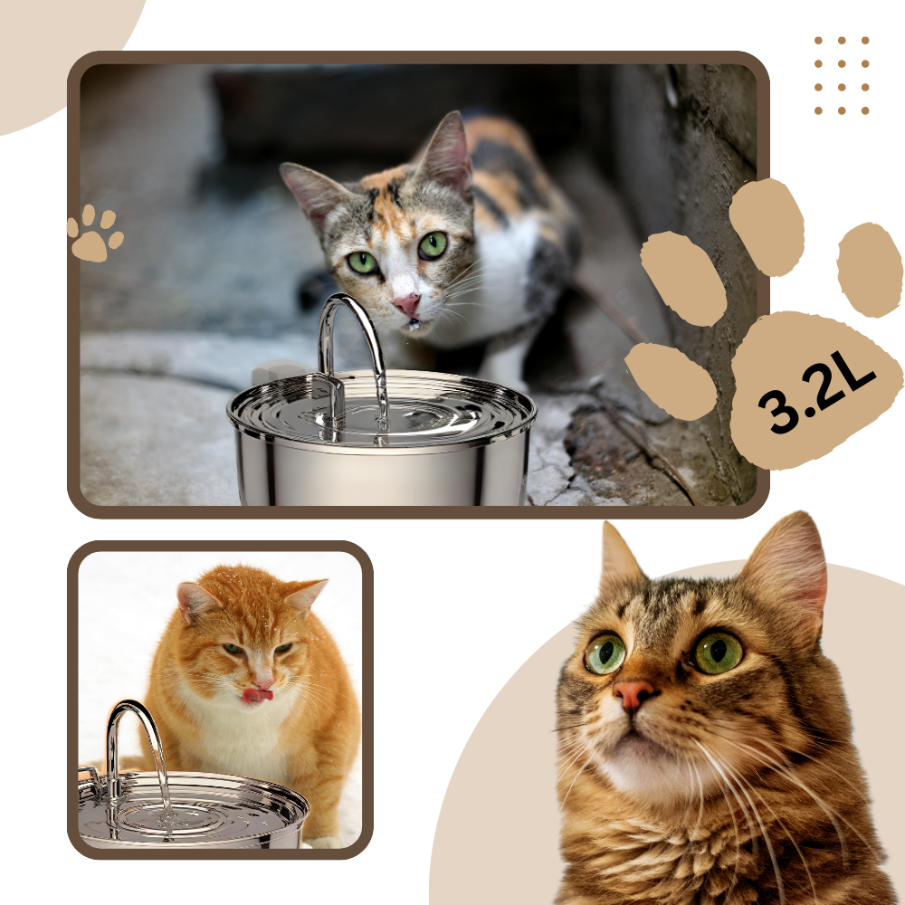 Fontaine pour chats à grande capacité - Ozerty