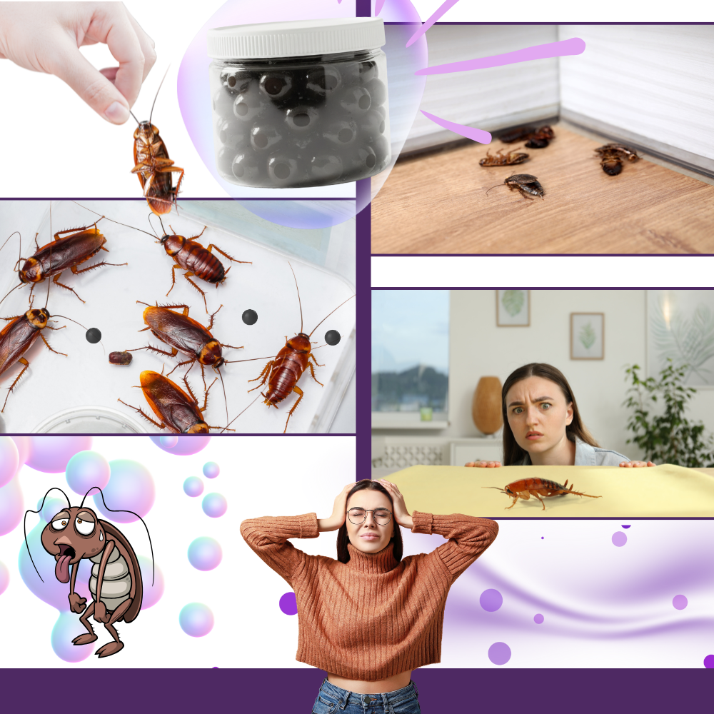 Perles anti-cafards à l'extrait de lavande - Ozerty