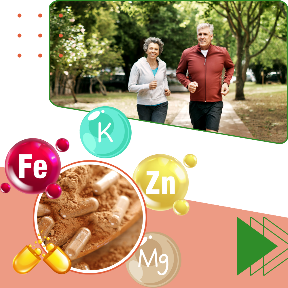 Complément d'Algues Marines - Ozerty