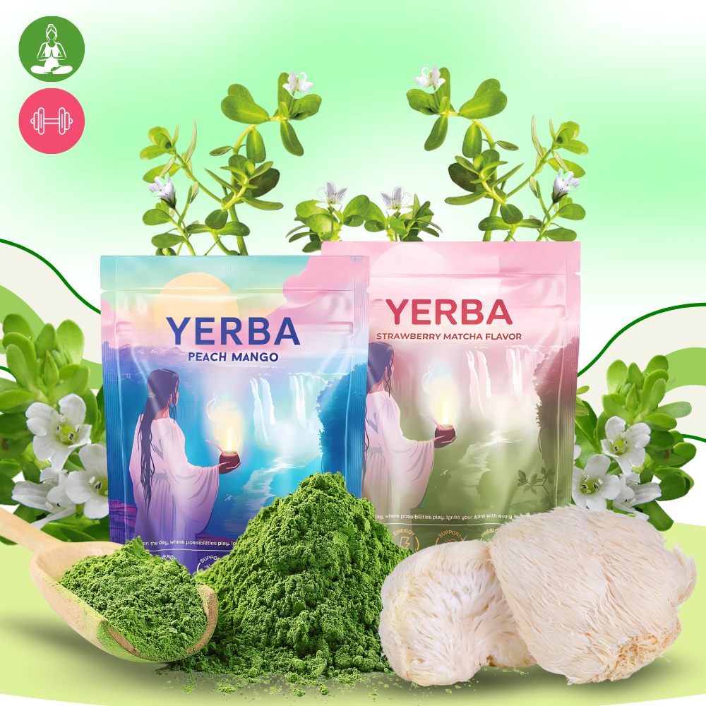 Thé Matcha Maté en poudre - Ozerty