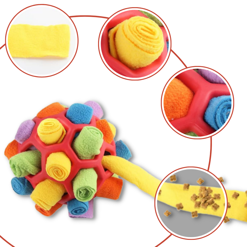 Balle à priser et de stimulation mental pour chiens
 - Ozerty