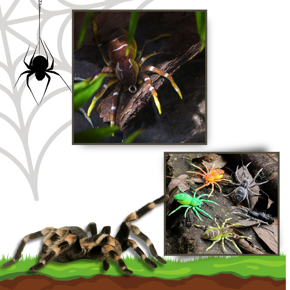 Appât de pêche en forme d'araignée à mouvements naturels
 - Ozerty