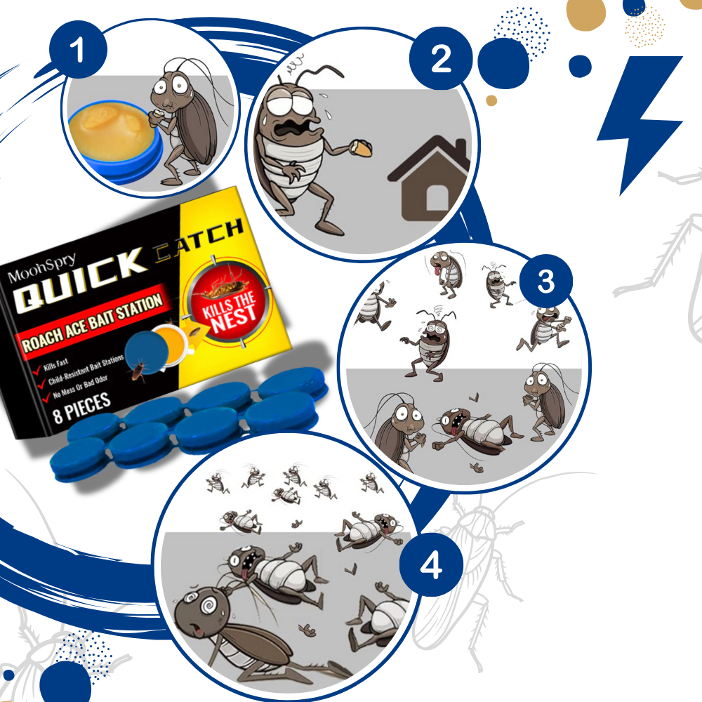 Pièges à blattes sans odeurs
- Ozerty