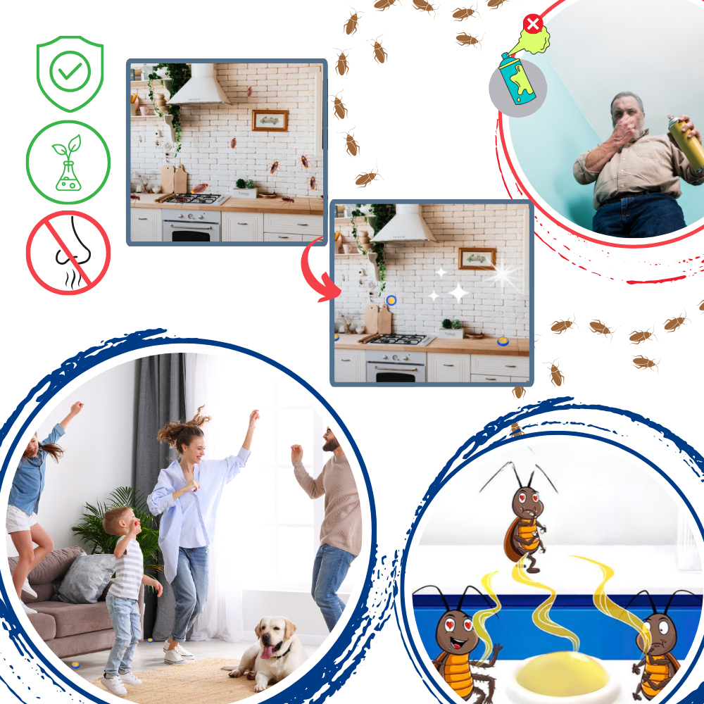 Pièges à blattes sans odeurs
- Ozerty