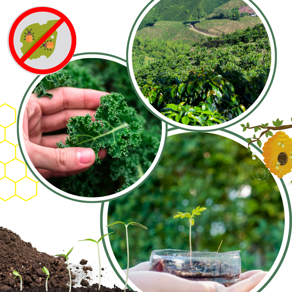 Activateur de sol à nutriments bio - Ozerty