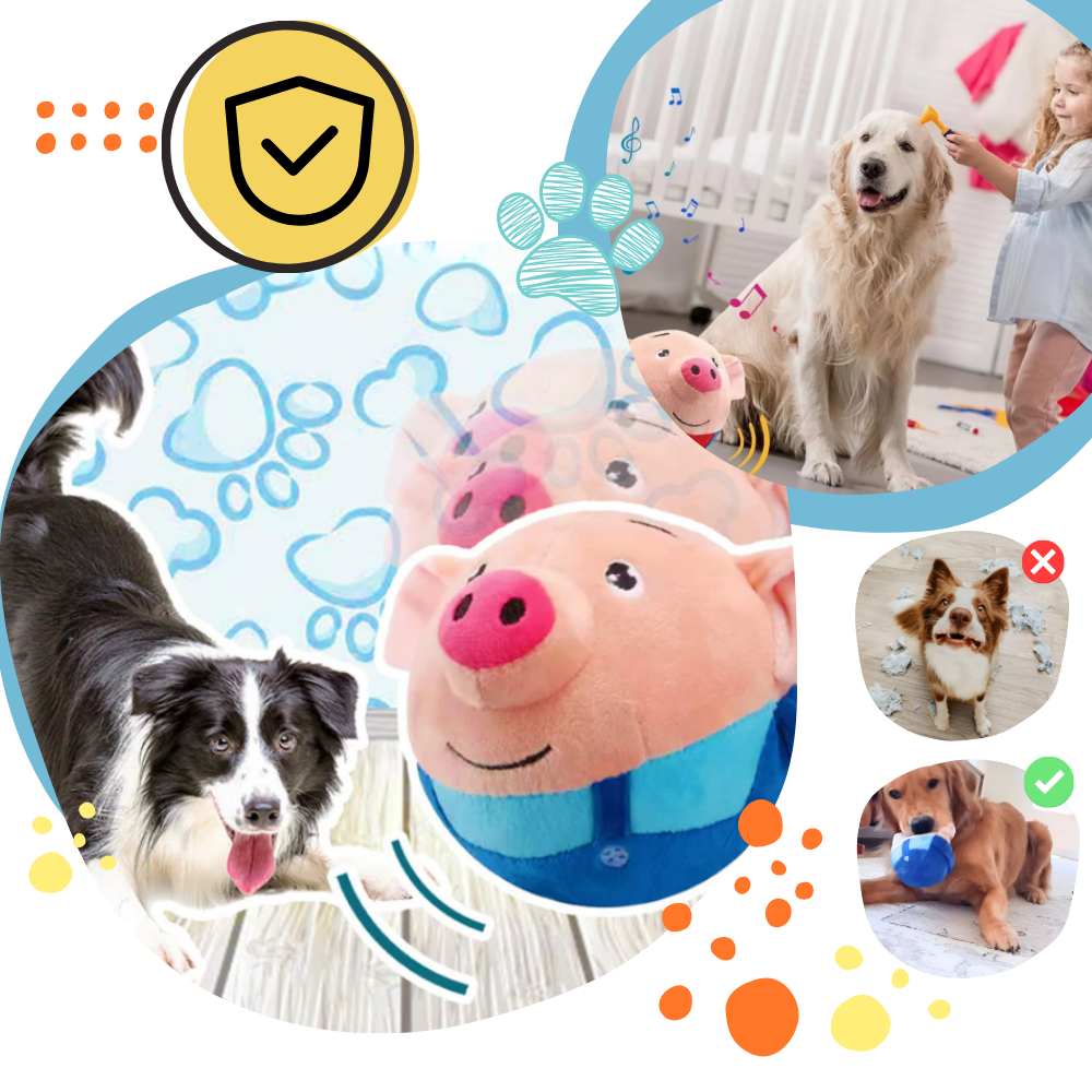 Jouet interactif pour chien - Ozerty