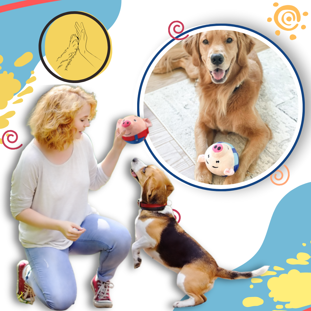 Jouet interactif pour chien - Ozerty