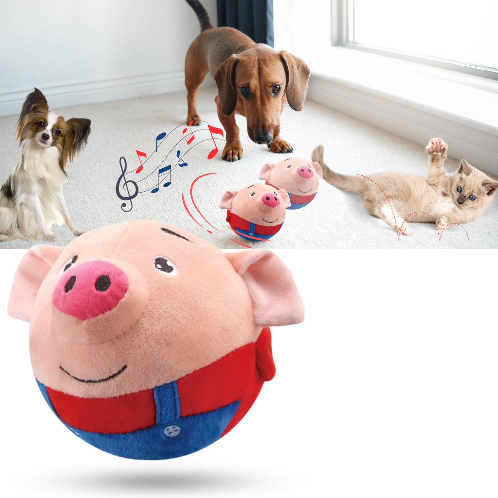 Jouet interactif pour chien - Ozerty