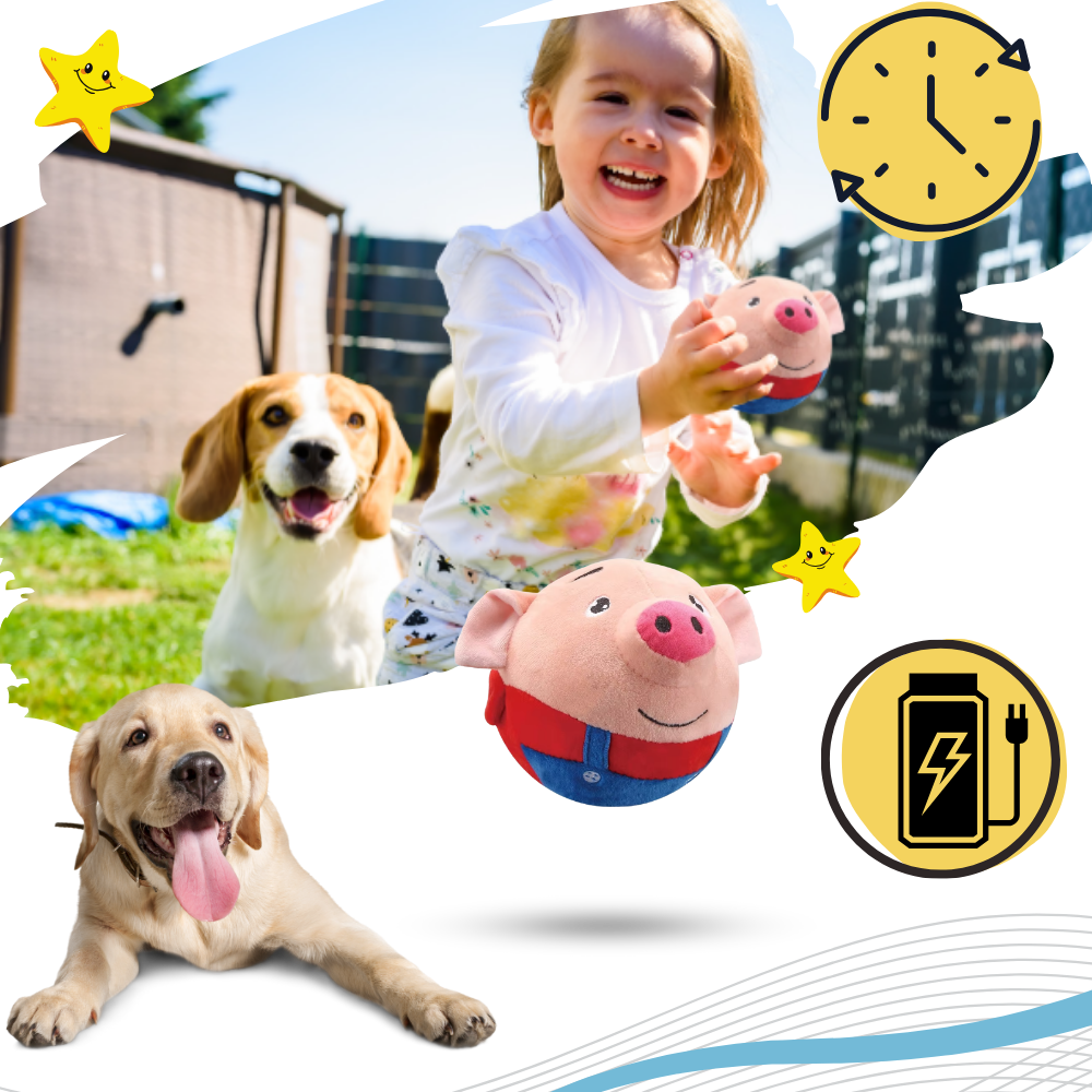 Jouet interactif pour chien - Ozerty