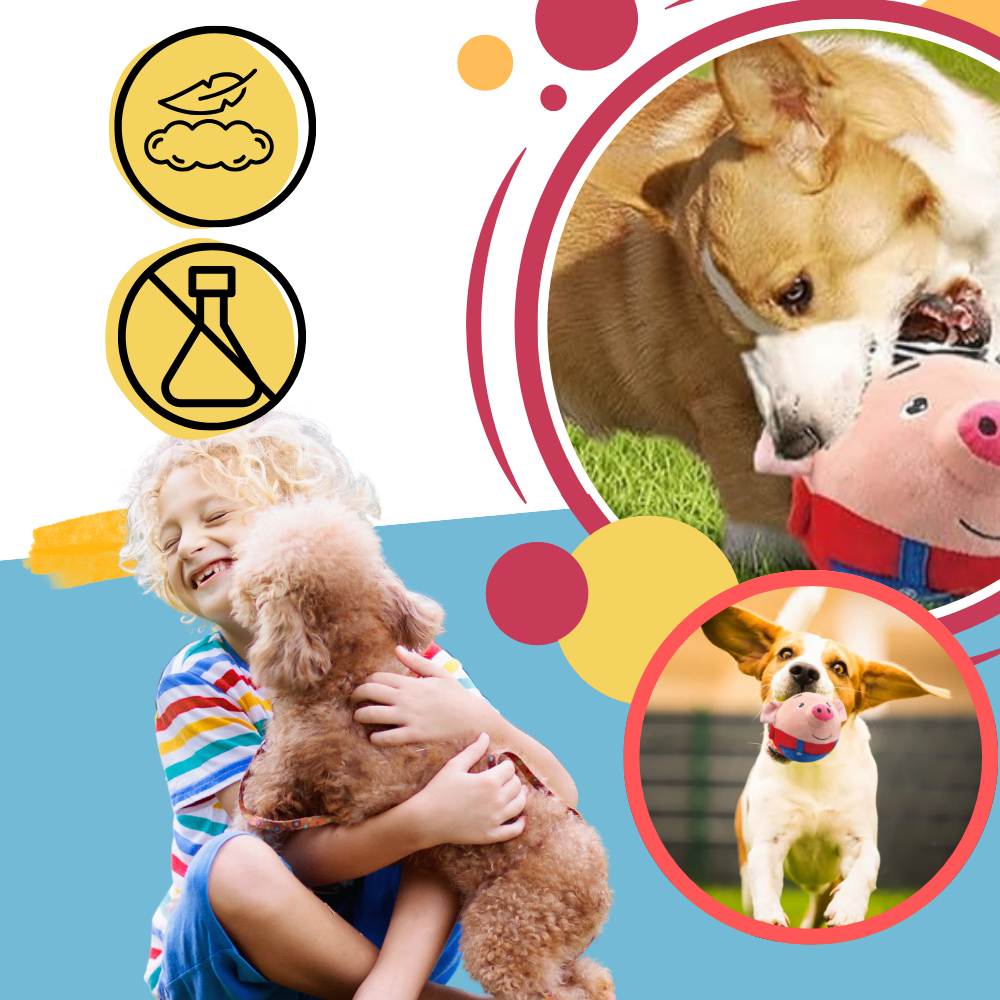 Jouet interactif pour chien - Ozerty