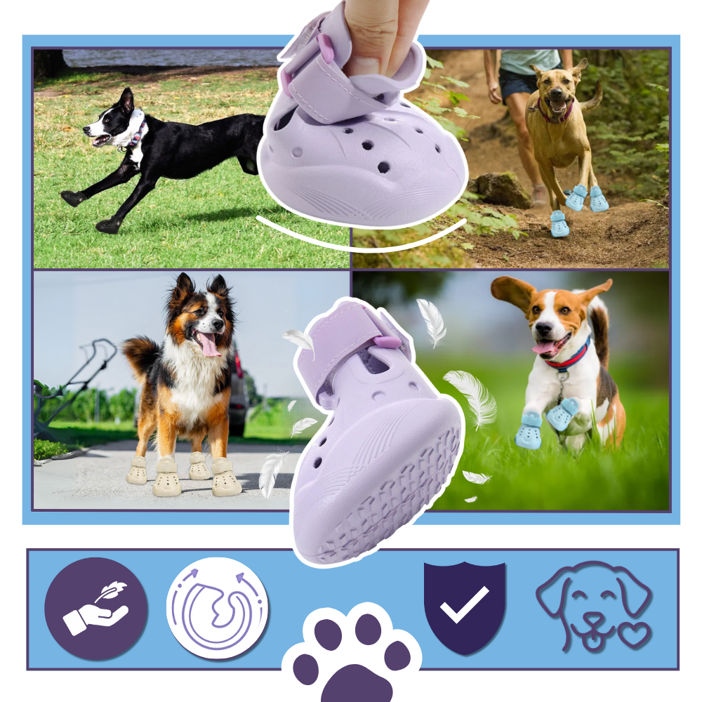 Bottines de protection pour pattes - Ozerty