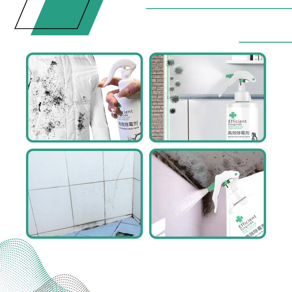 Spray puissant contre les moisissures - Ozerty