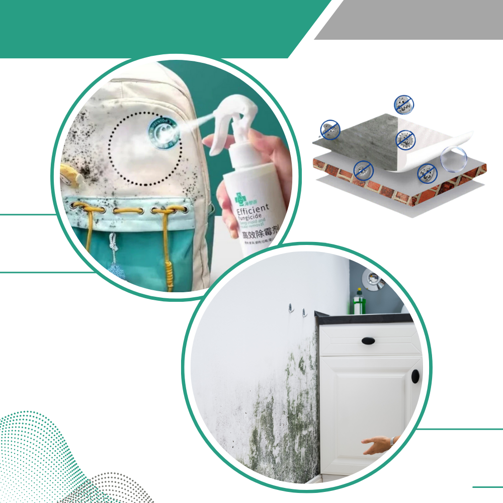 Spray puissant contre les moisissures - Ozerty