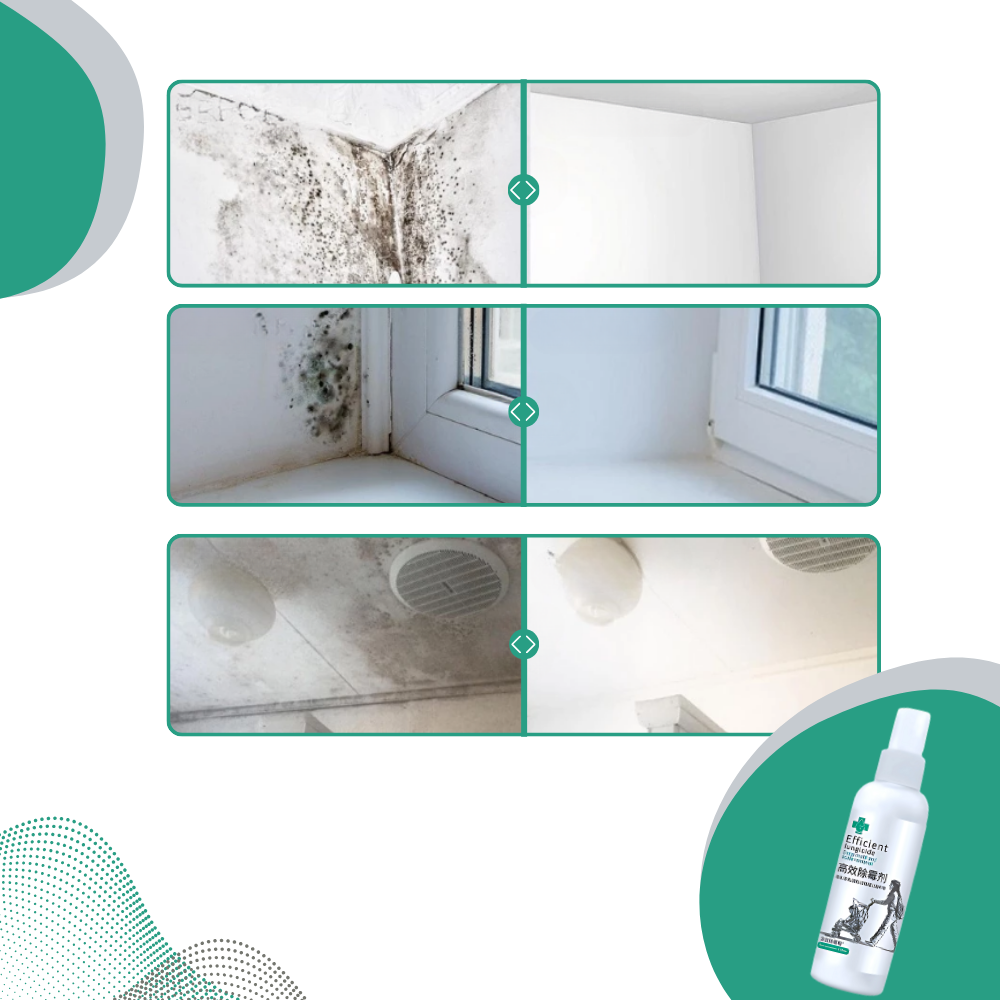 Spray puissant contre les moisissures - Ozerty