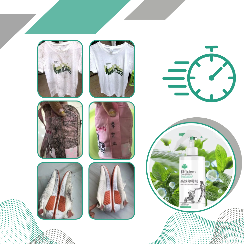 Spray puissant contre les moisissures - Ozerty