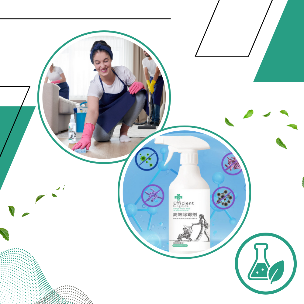 Spray puissant contre les moisissures - Ozerty