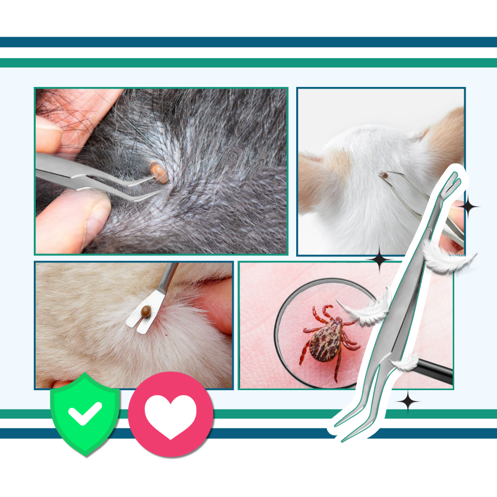 Pince à Tiques De Précision - Ozerty