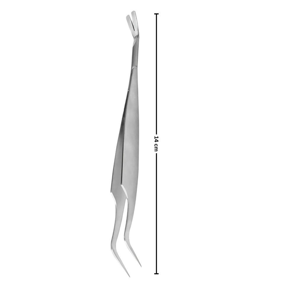 Pince à Tiques De Précision - Ozerty