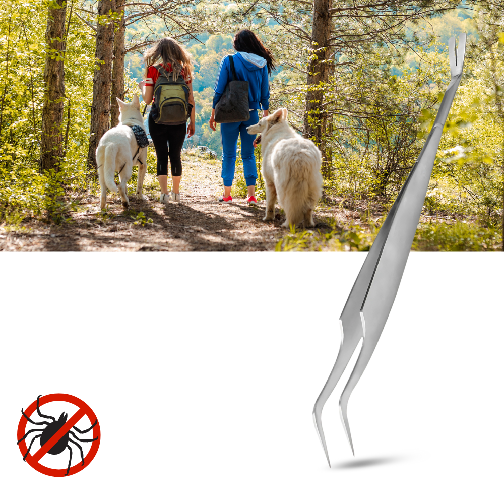 Pince à Tiques De Précision - Ozerty