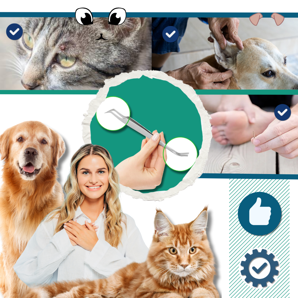 Pince à Tiques De Précision - Ozerty