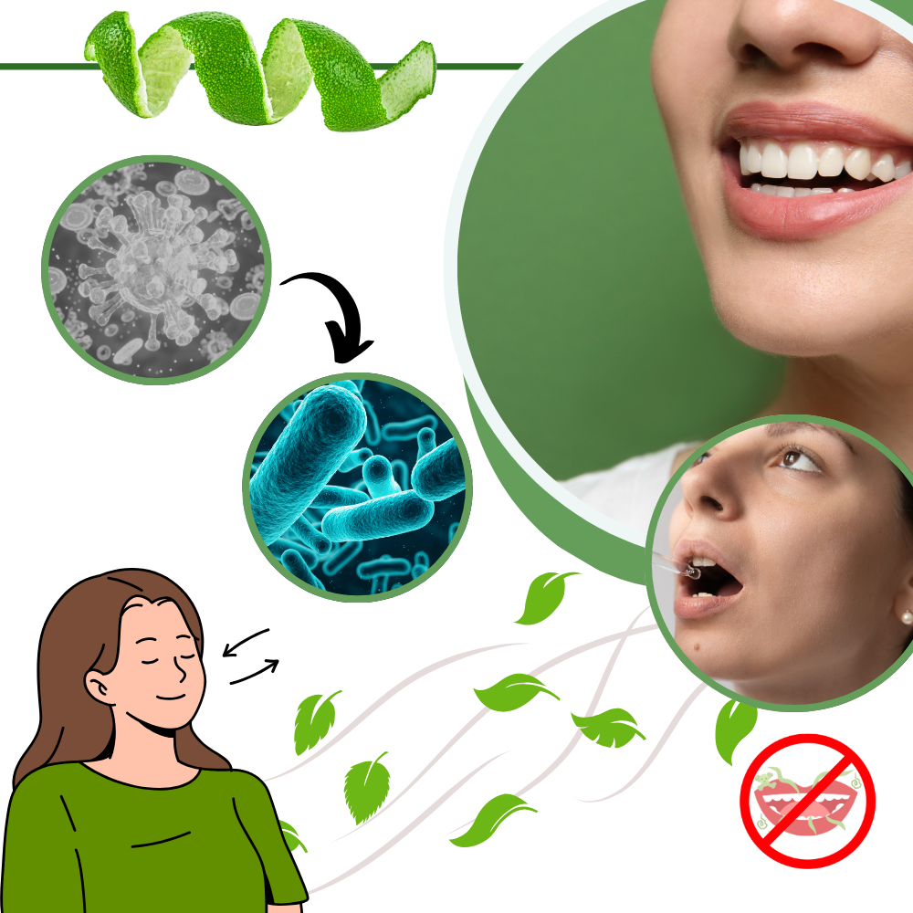 Purificateur d'haleine à la menthe - Ozerty