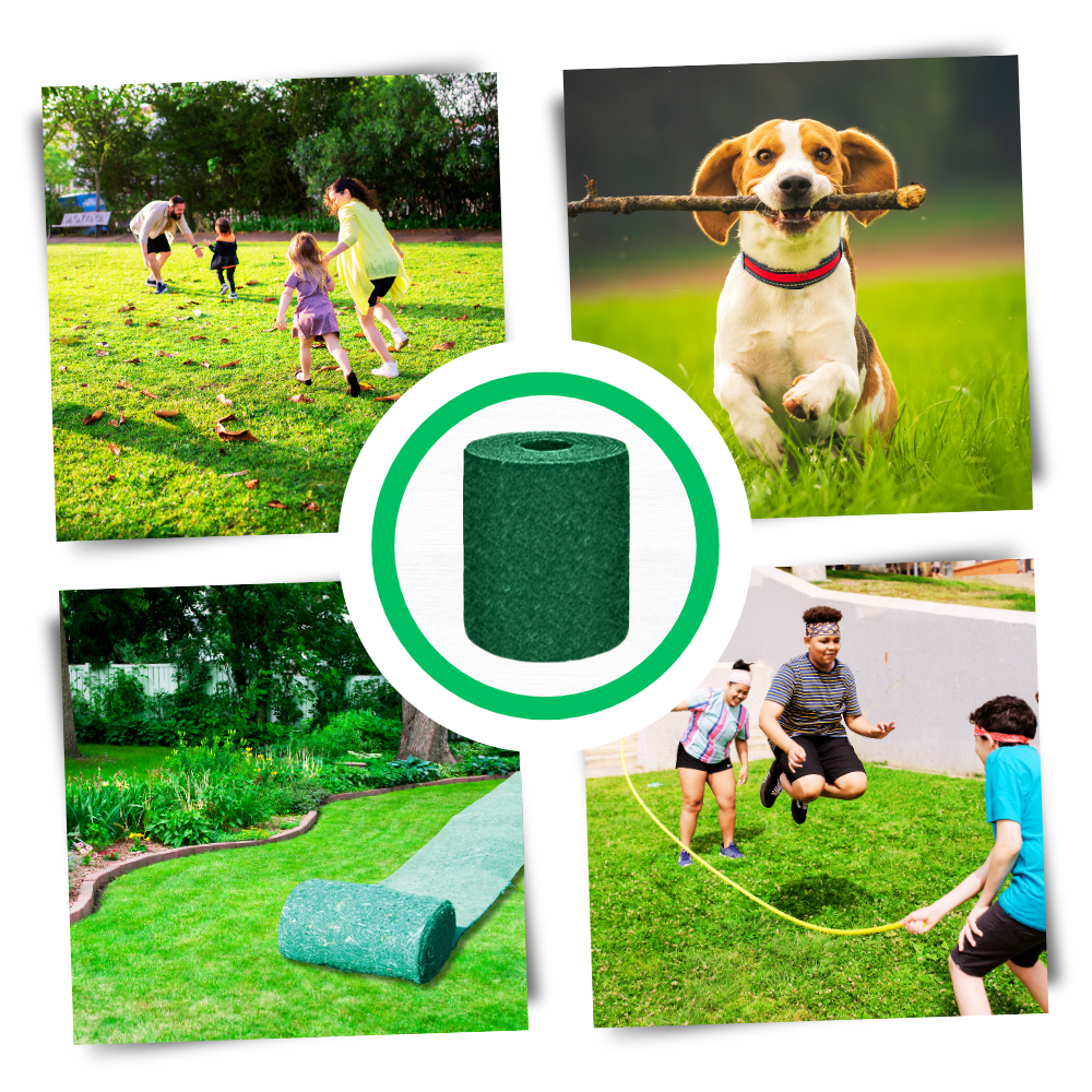 Tapis de semences de gazon vert à fixation rapide
- Ozerty